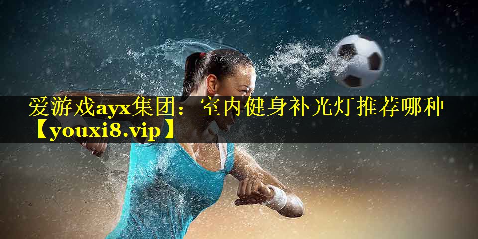 爱游戏ayx集团：室内健身补光灯推荐哪种