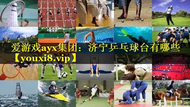 爱游戏ayx集团：济宁乒乓球台有哪些